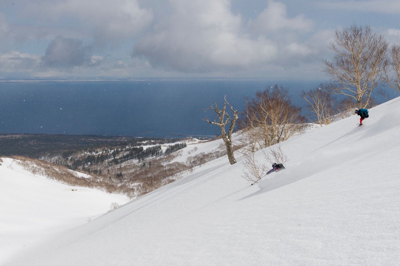 Japow Japow
