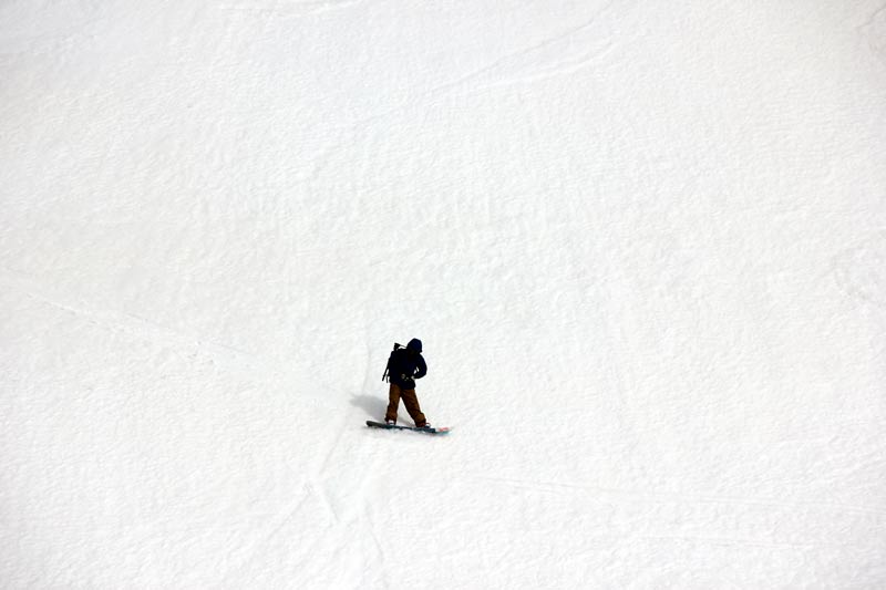 Wo kommt der denn her? schwarz auf weiss