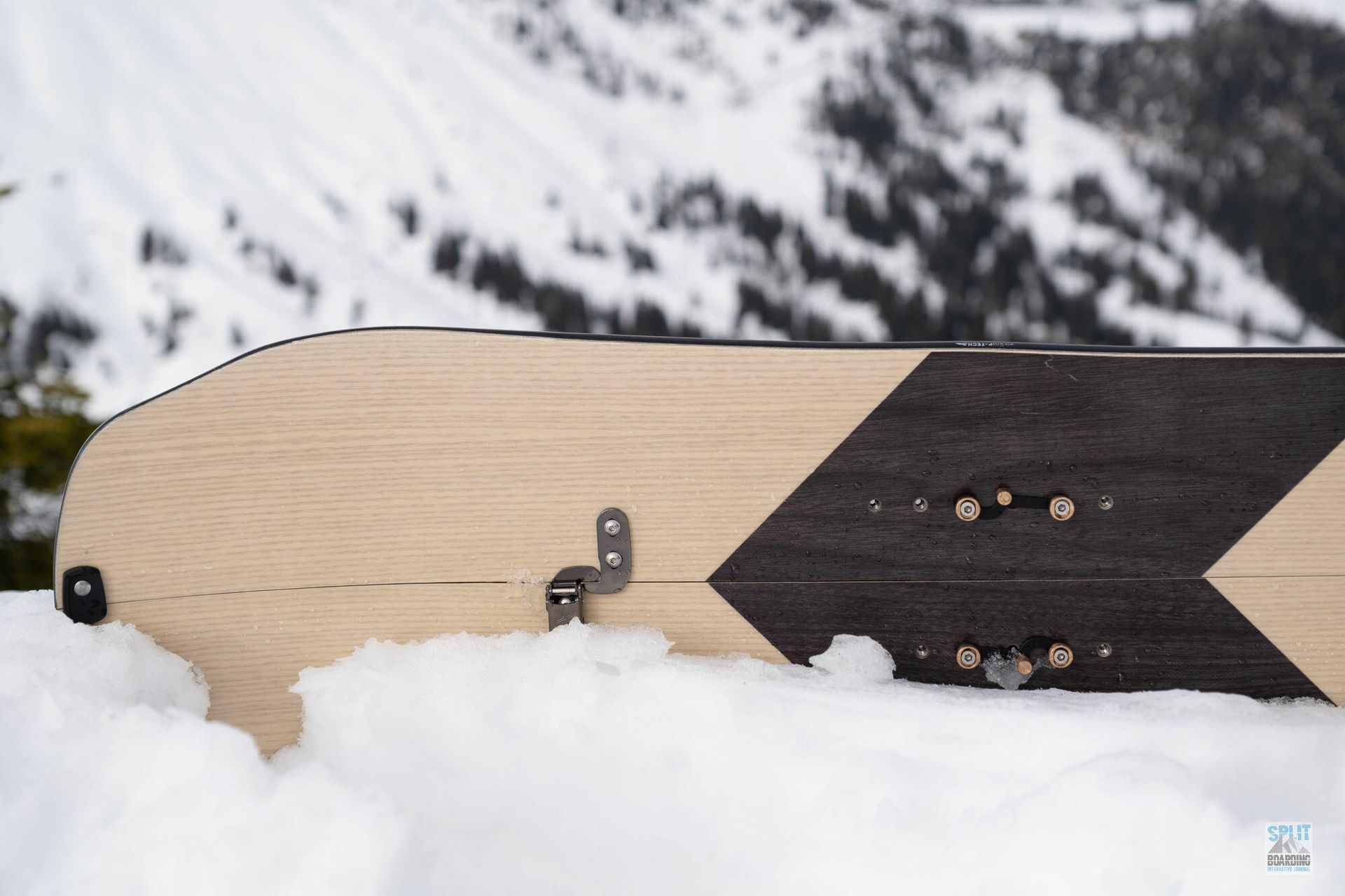 Arbor Swoon 21-22 Detail Nose mit Enfuse Interface