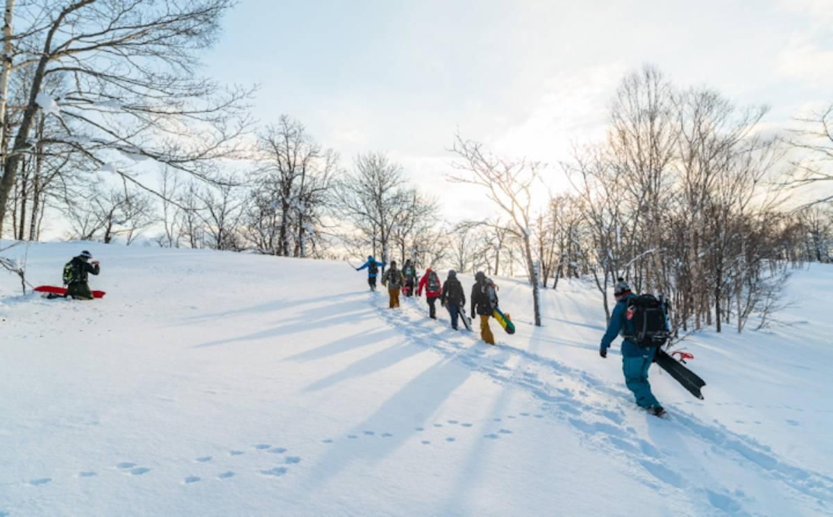Japow Split In den Wäldern Japans