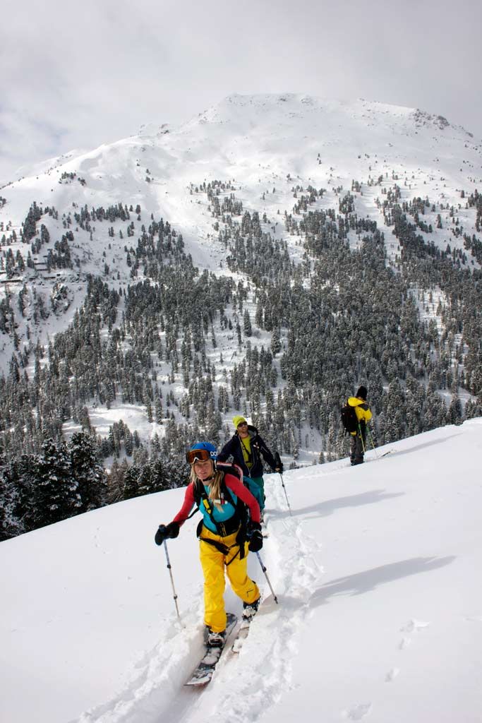 Bibi, Mitch und Jeremy splitting in Austria