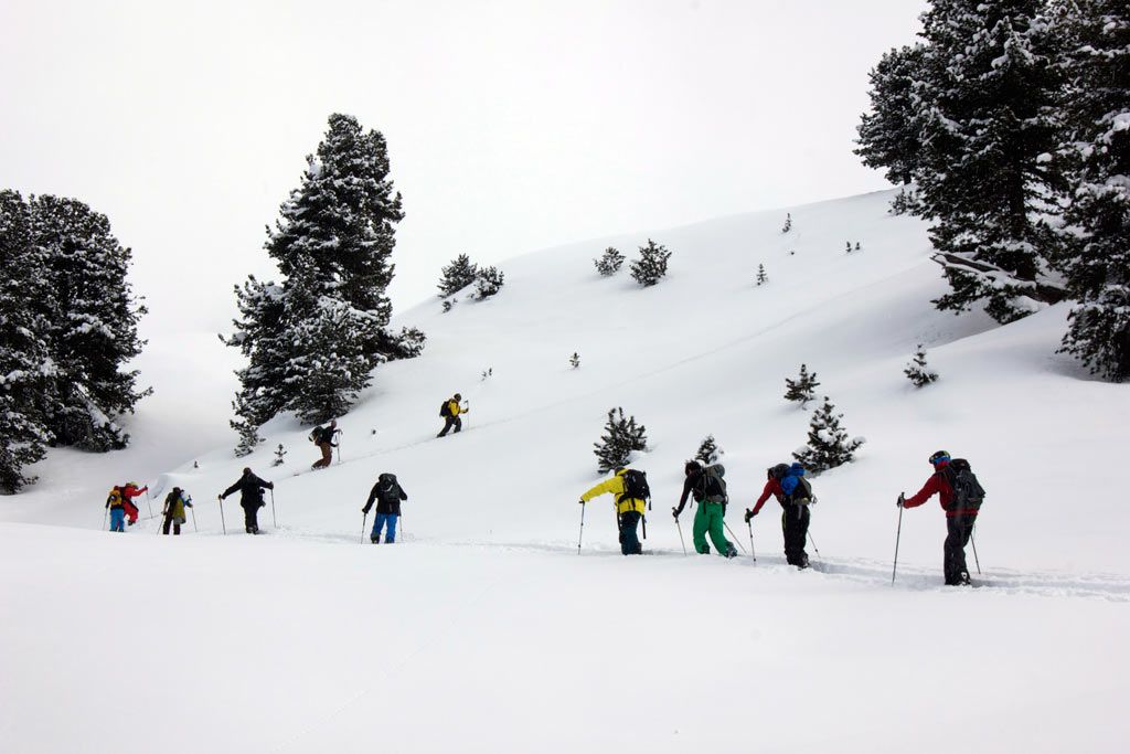 Big Group of Splitboard friends
