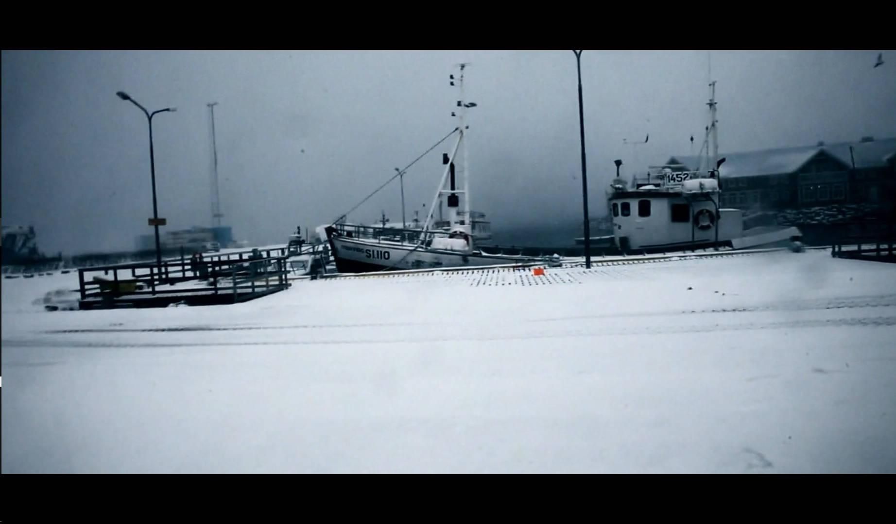 At the harbour Fish can be cought