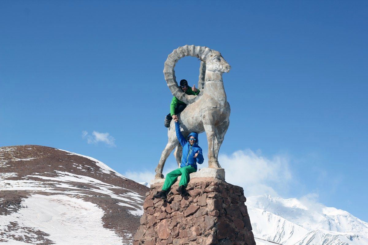The ibex