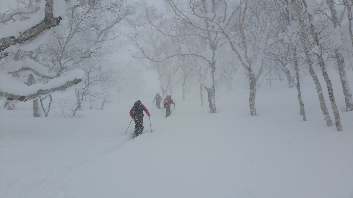 Splitboarding Japan Kioro