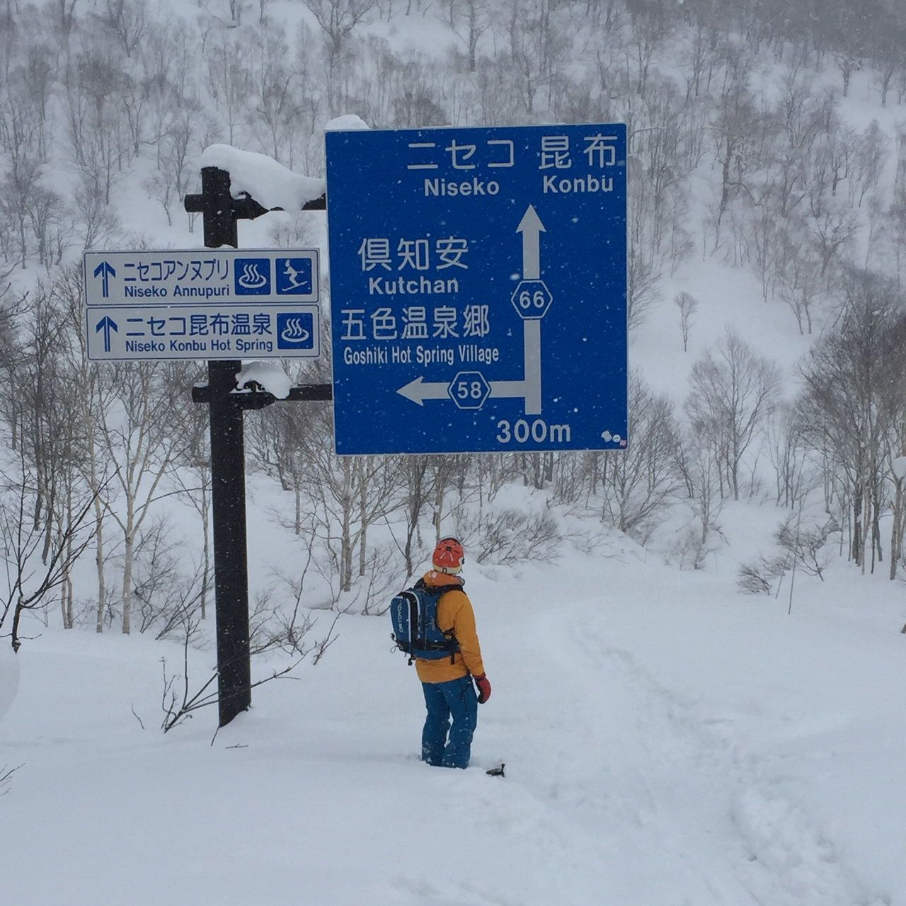 Hokkaido Samurai Pow Safari