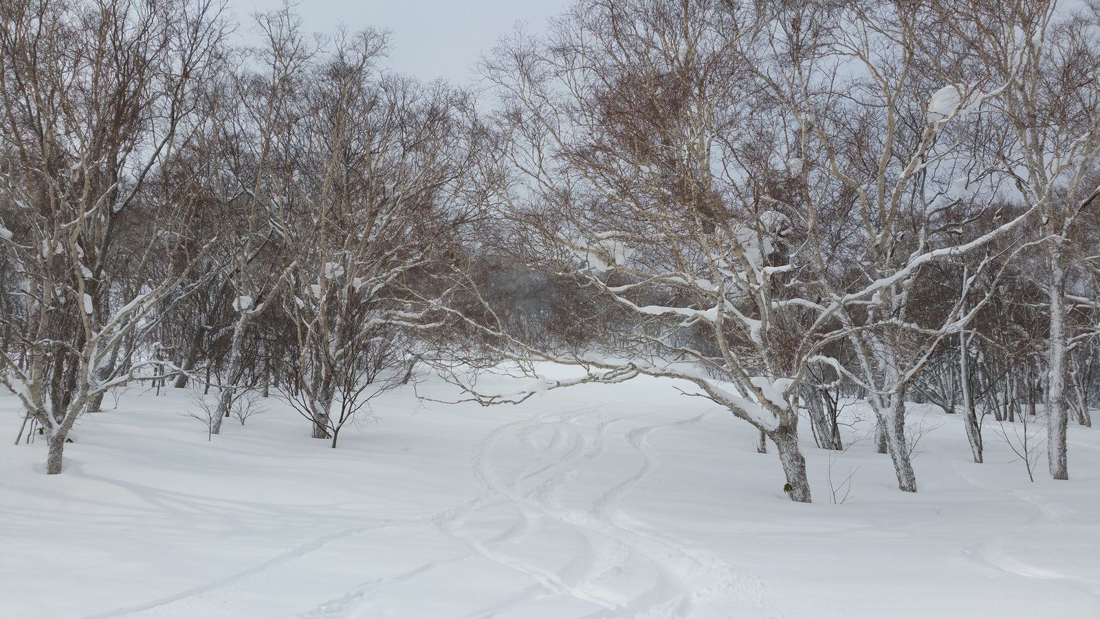 Splitboarding in Sapporo Japan Splitboarding in Sapporo Japan