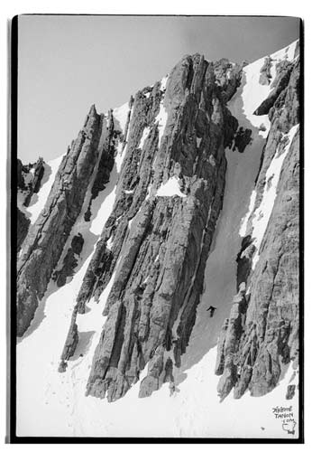 Martin Seiler Straight Lining