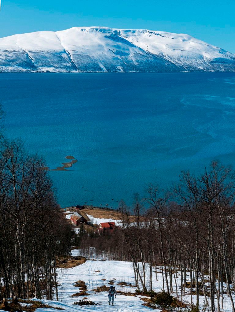 Splitboard Trip Norwegen - Am nächsten Tag
