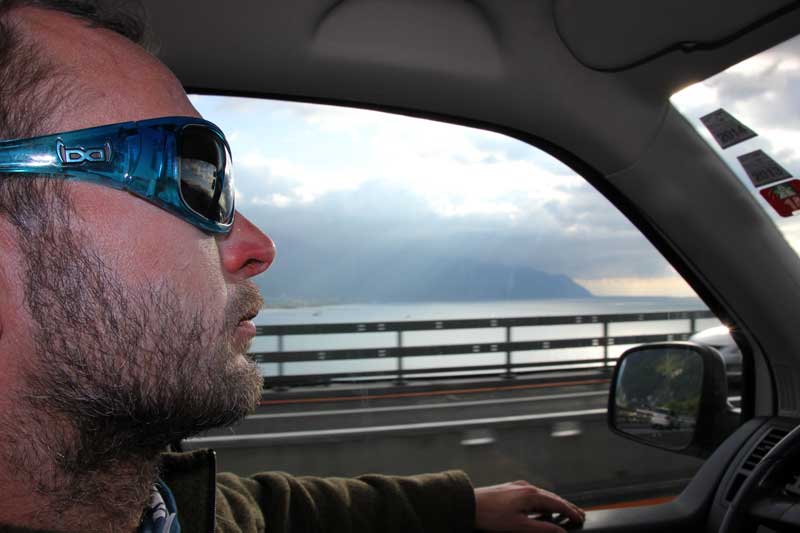 Brille blau trägt die Sau - oder doch der Steinbock?