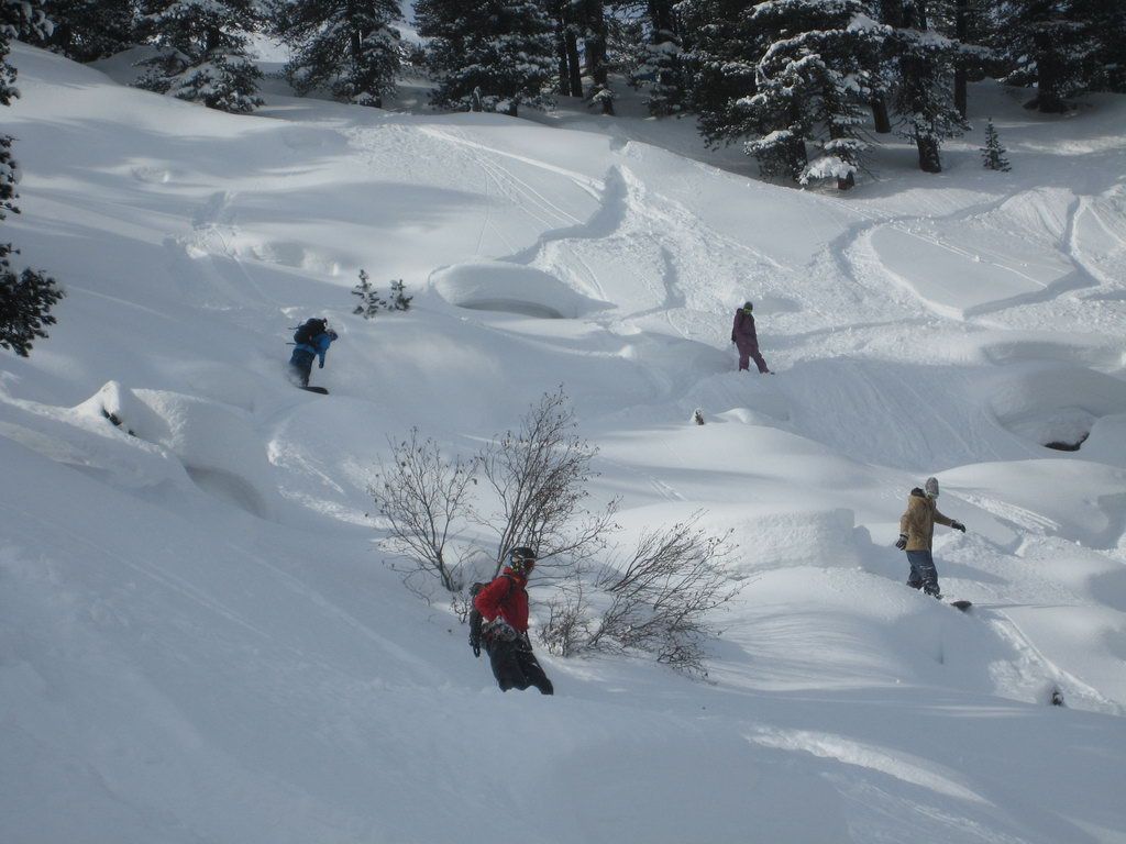 Backcountry Playground
