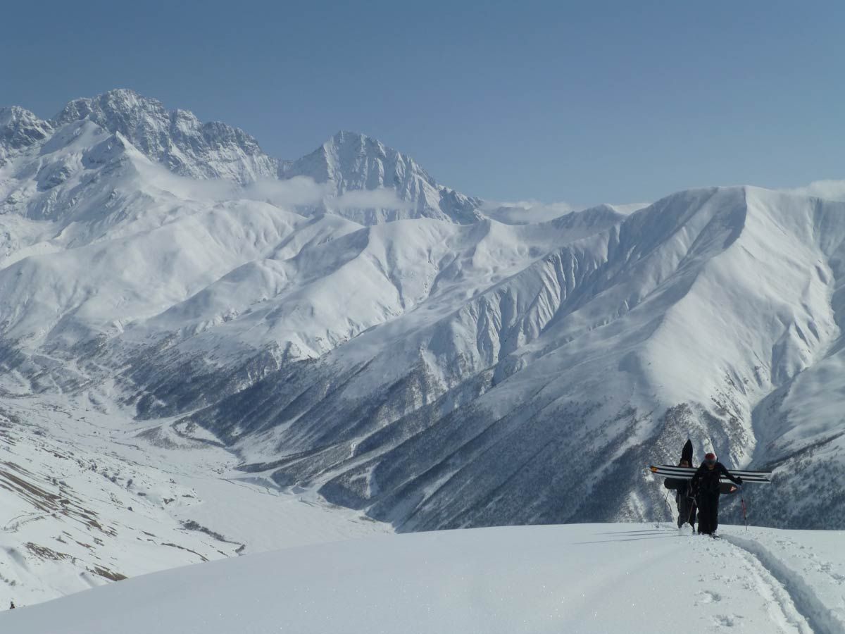 territory for pogo powder