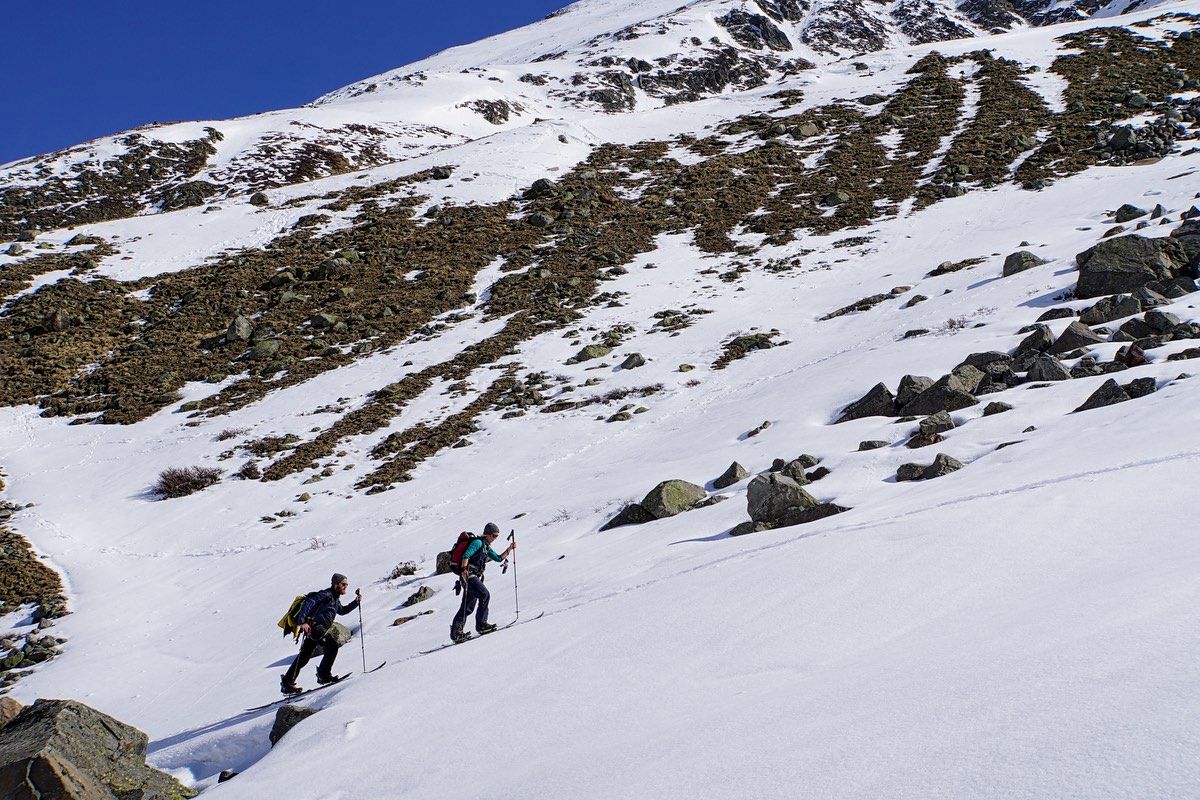 Spring Conditions