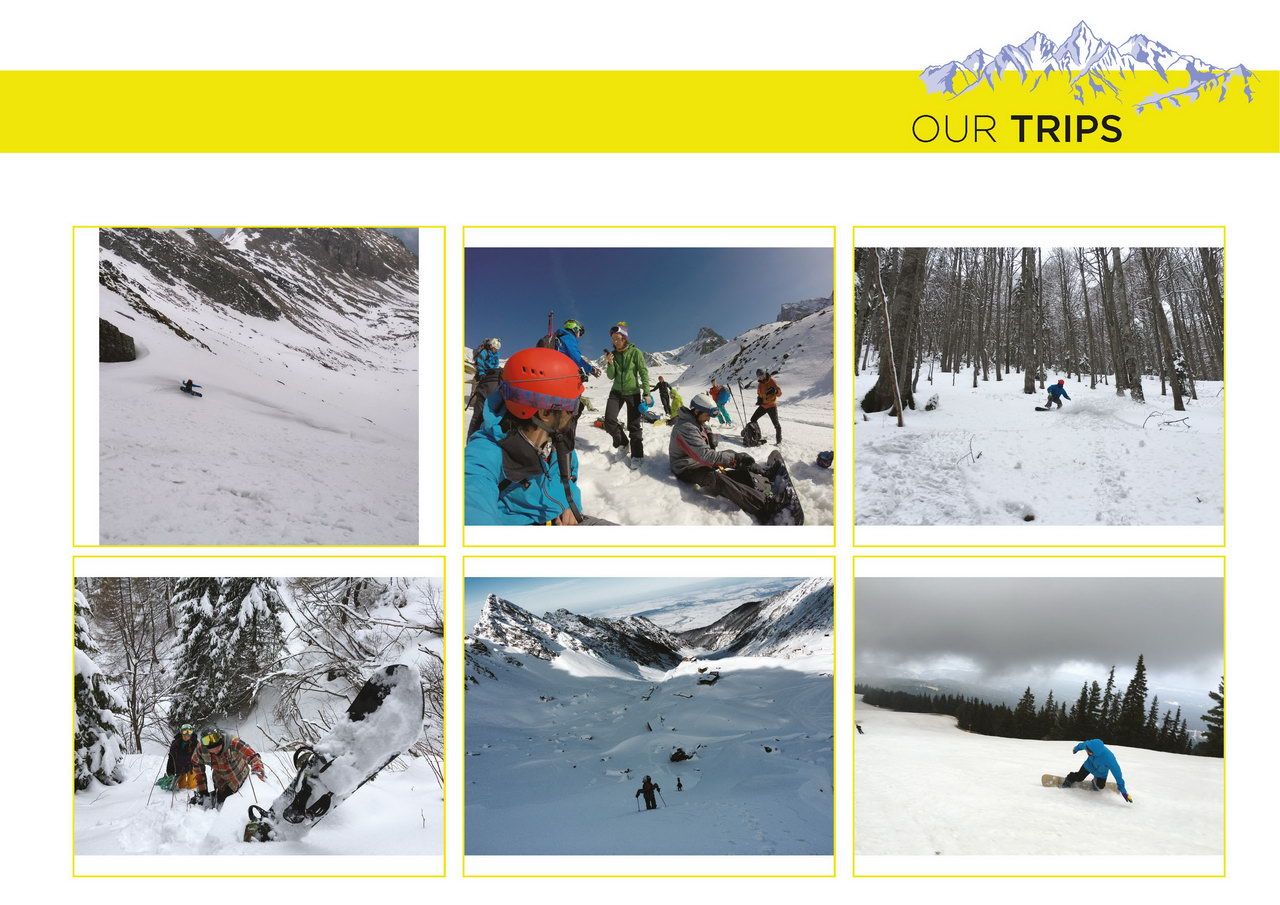 shredmind trips shredmind trips