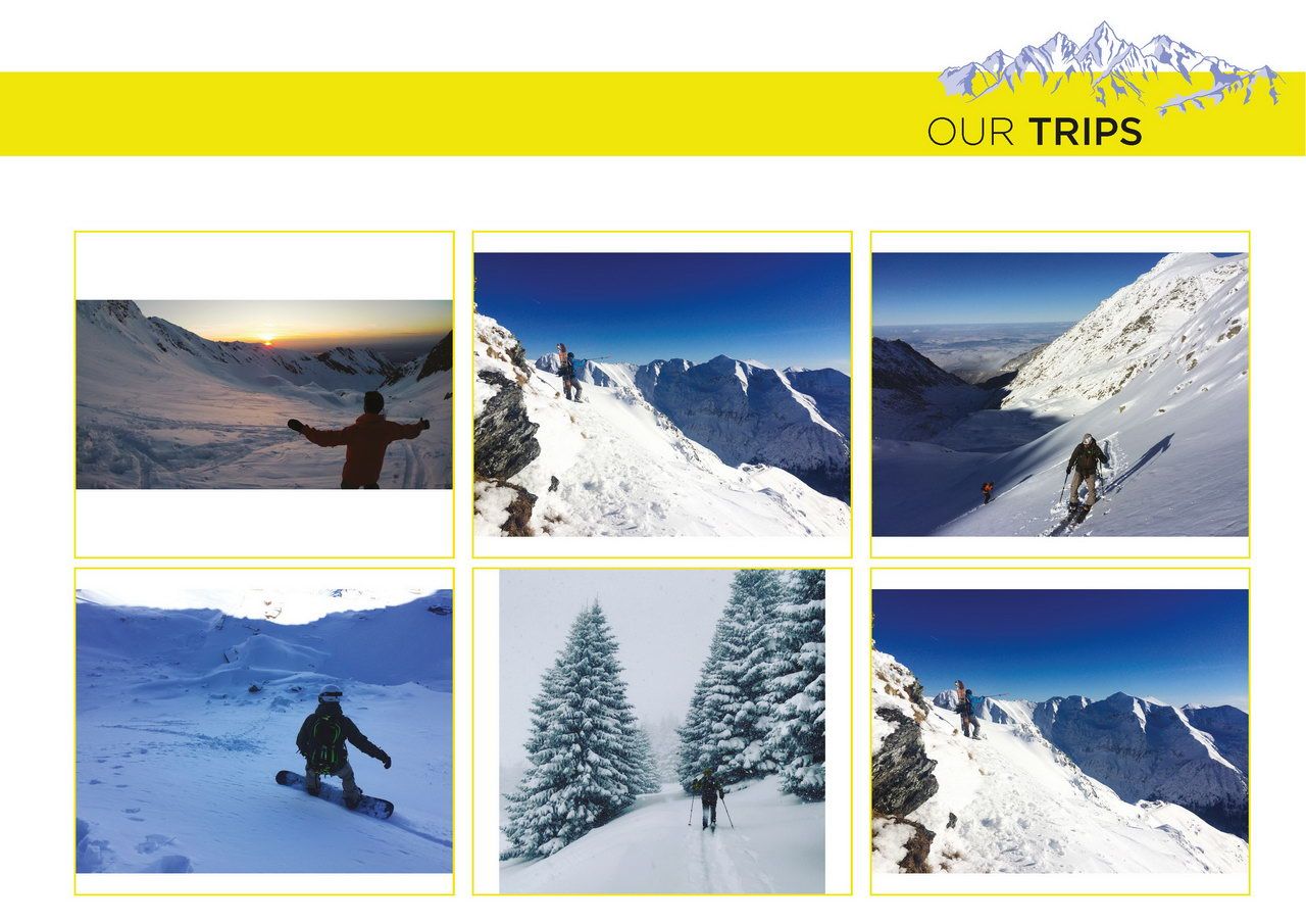 shredmind trips shredmind trips
