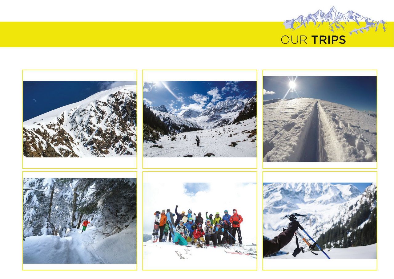 shredmind trips shredmind trips