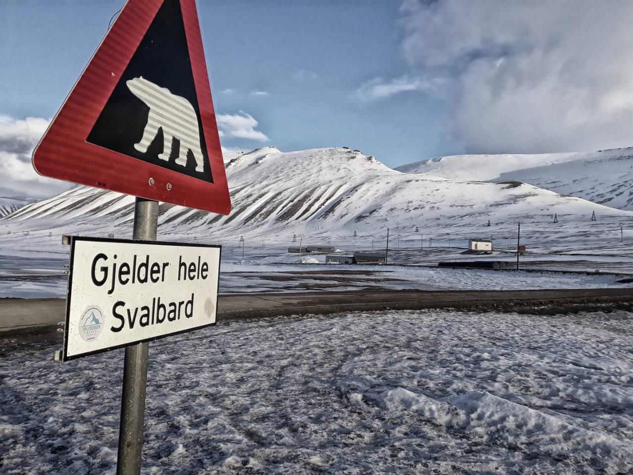 Splitbergen - ein Kurzfilm über die Faszination von Spitzbergen
