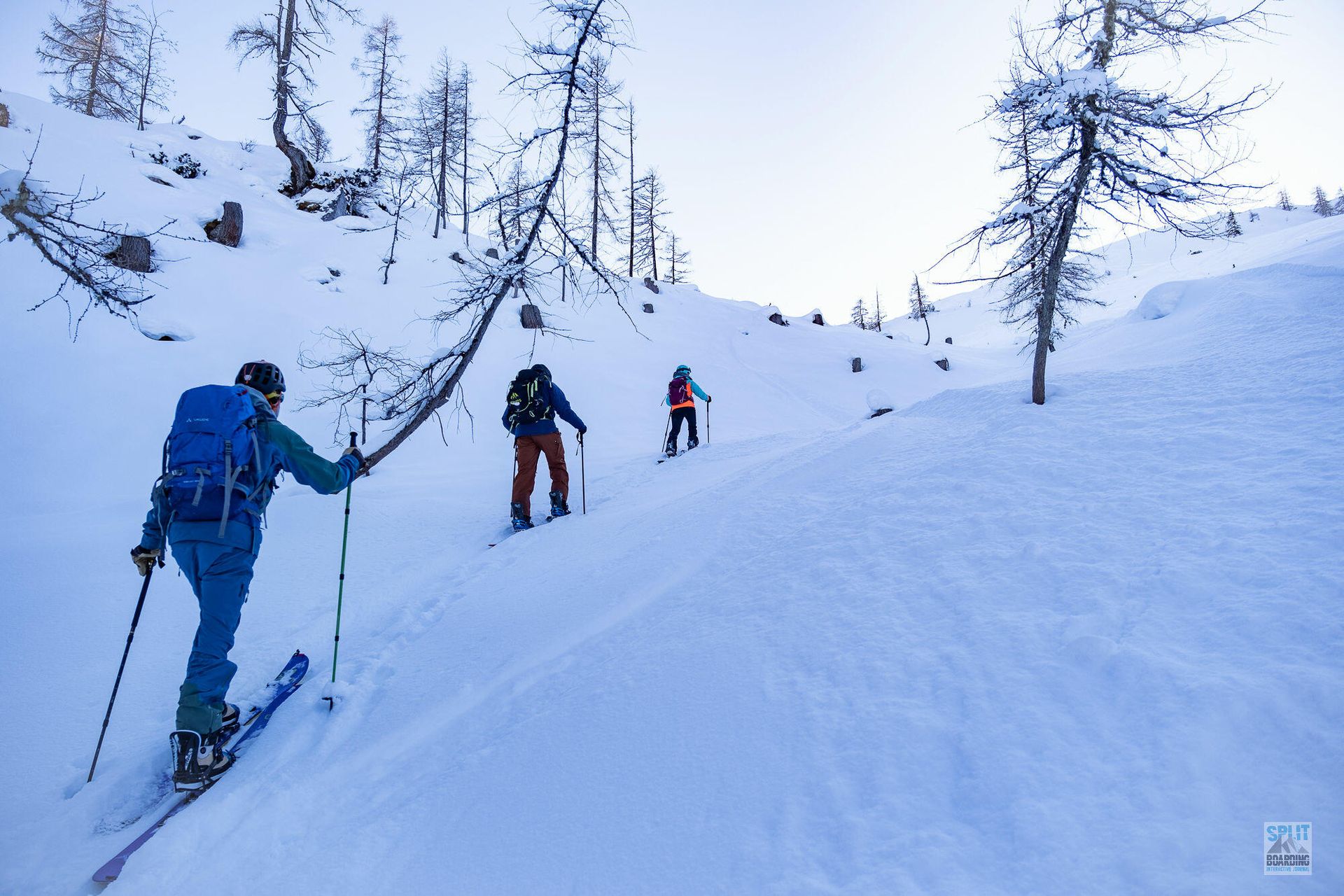Splitboard Test 21-22 Action 10 Und wieder rauf
