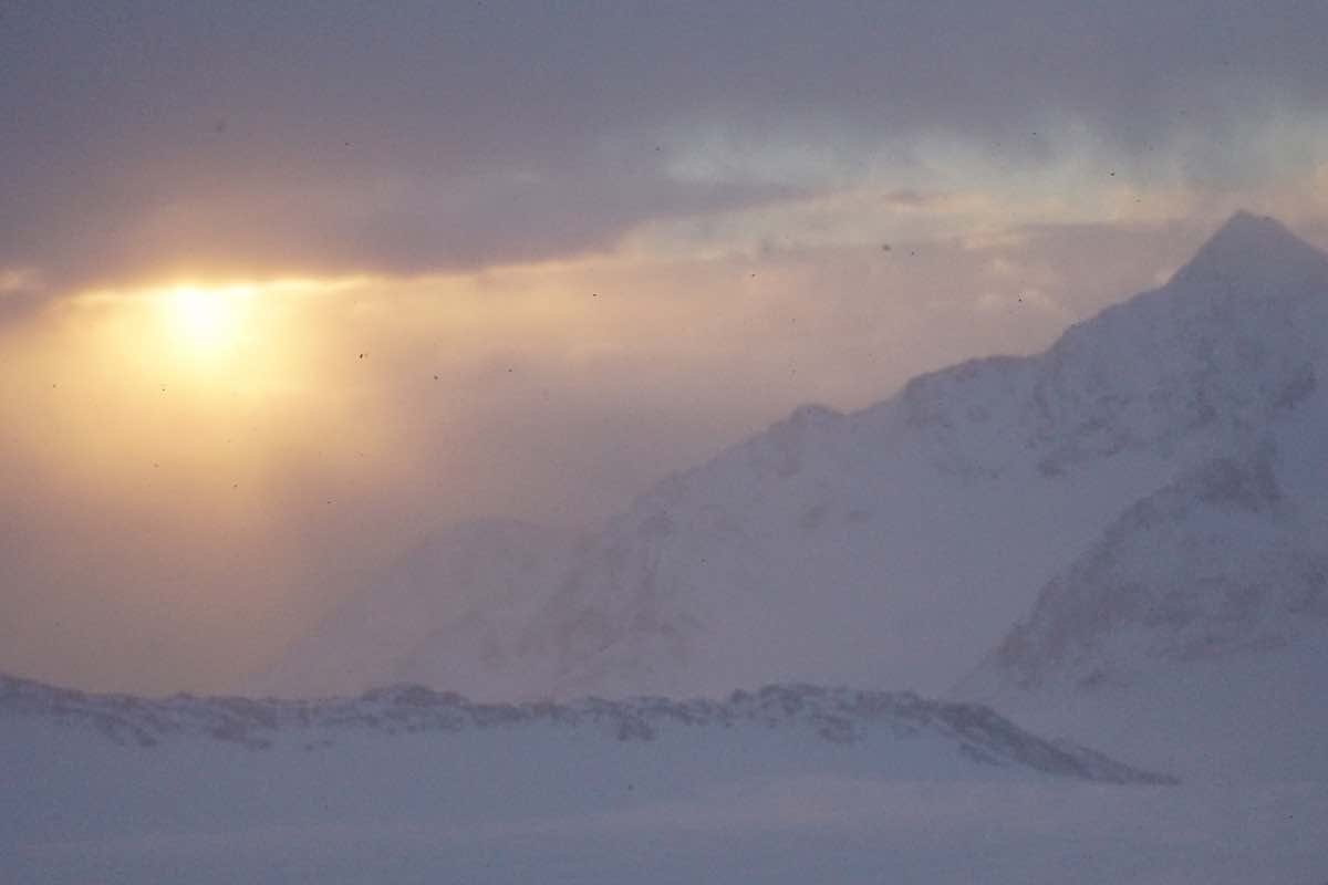Neu Jahr Morgen Neu Jahr Morgen