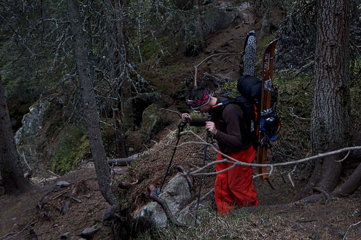im Wald da gibts keinen Schnee im Wald da gibts keinen Schnee