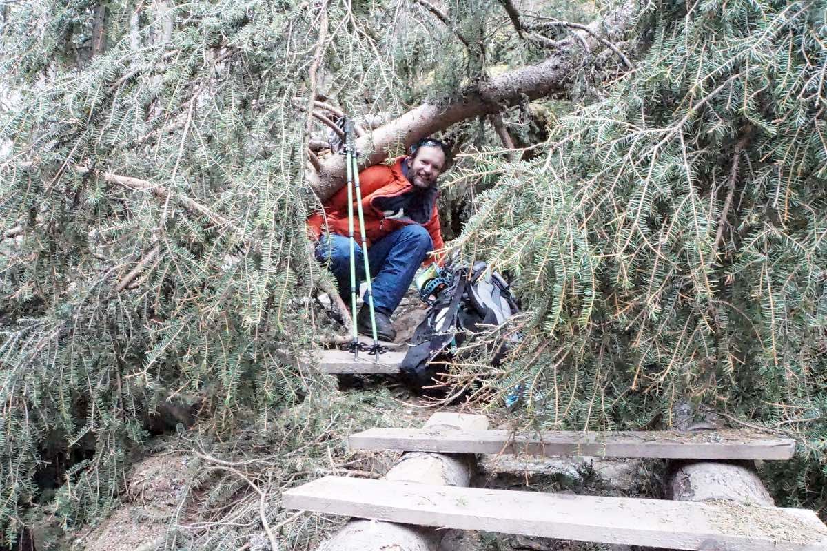 Etwas unwegsames Gelände kurz nach der Aussichtskanzel Etwas unwegsames Gelände kurz nach der Aussichtskanzel