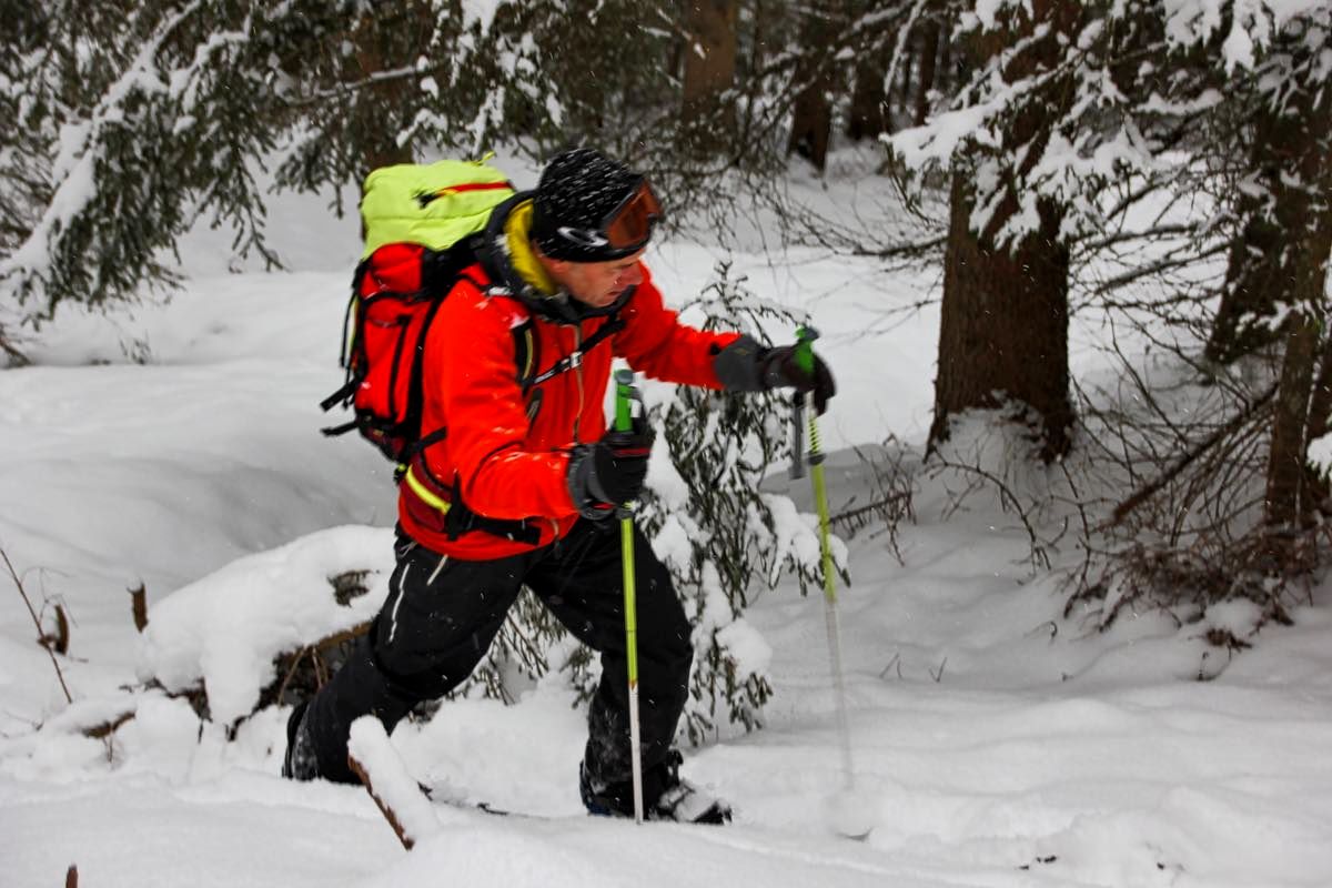 Hiking First Try 2016 Hiking First Try 2016