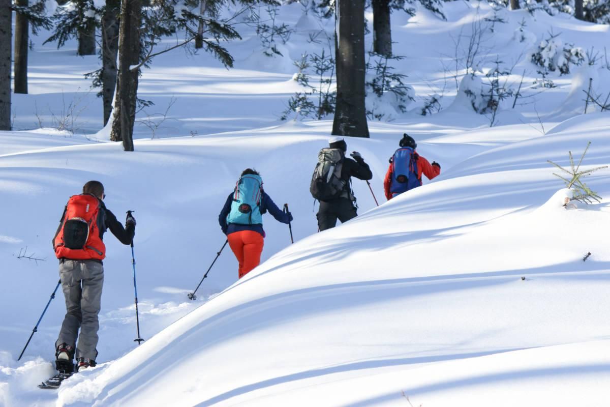 Freeride Holy Mountain - Pilsko - splitboarding in Poland