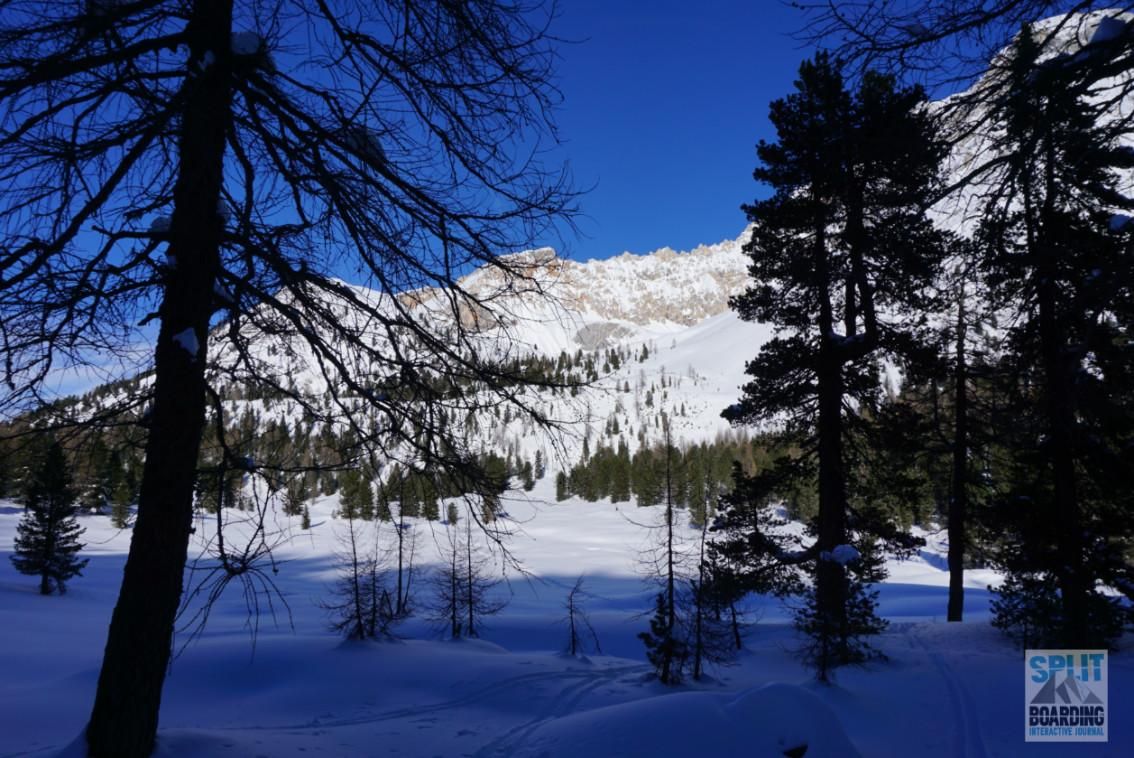 Stunning landscape Trees mountains snow