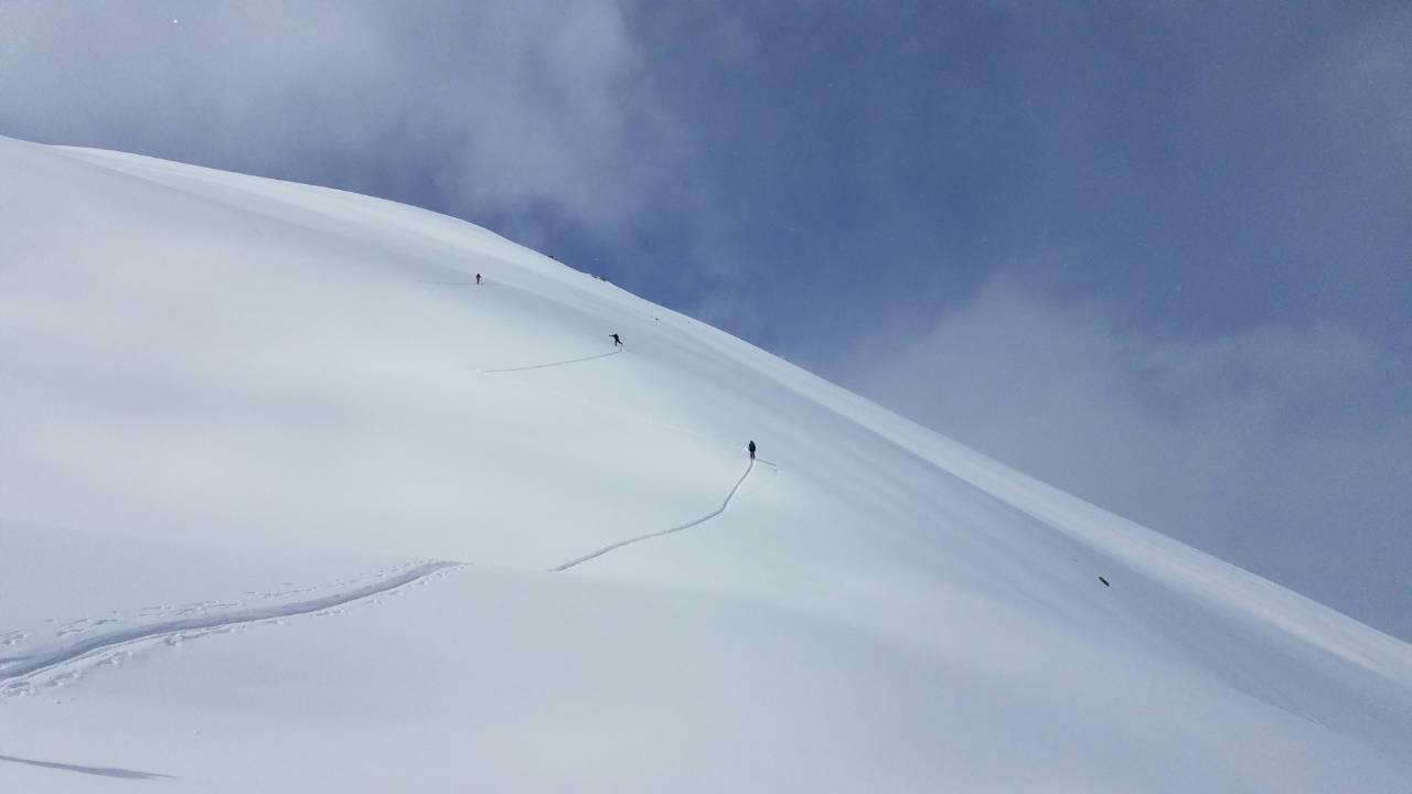 Faces of snow Uncredible pure