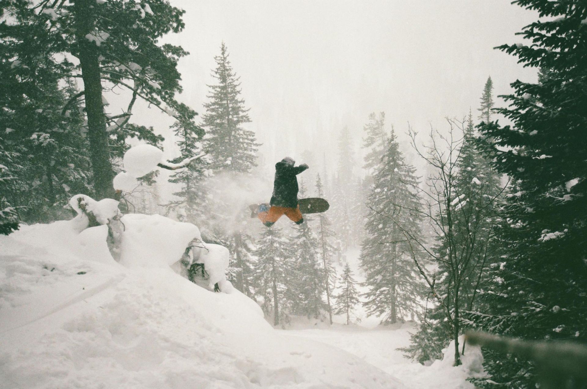 Photo: Sergey Puzankov