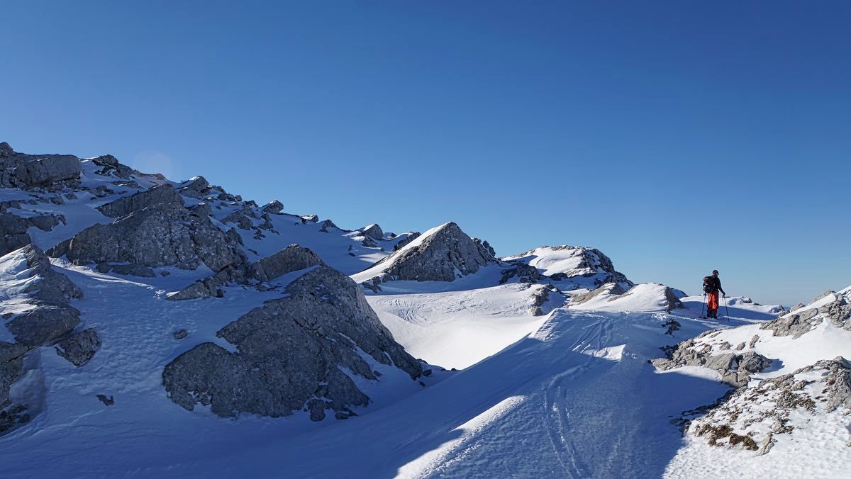 Noch hoch alpiner Noch hoch alpiner