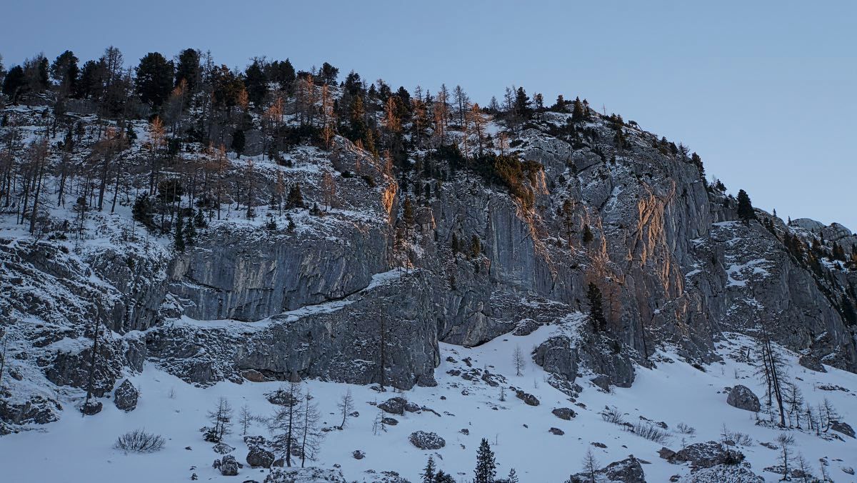 Die Bäume, sie leuchten Die Bäume, sie leuchten