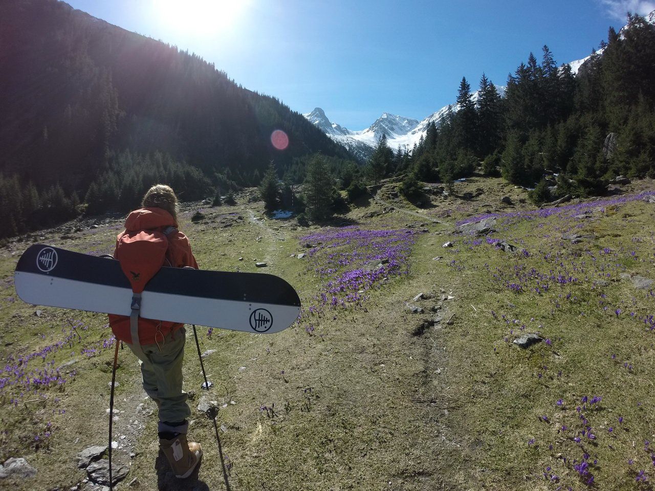 Frühling im Valea Sambetei