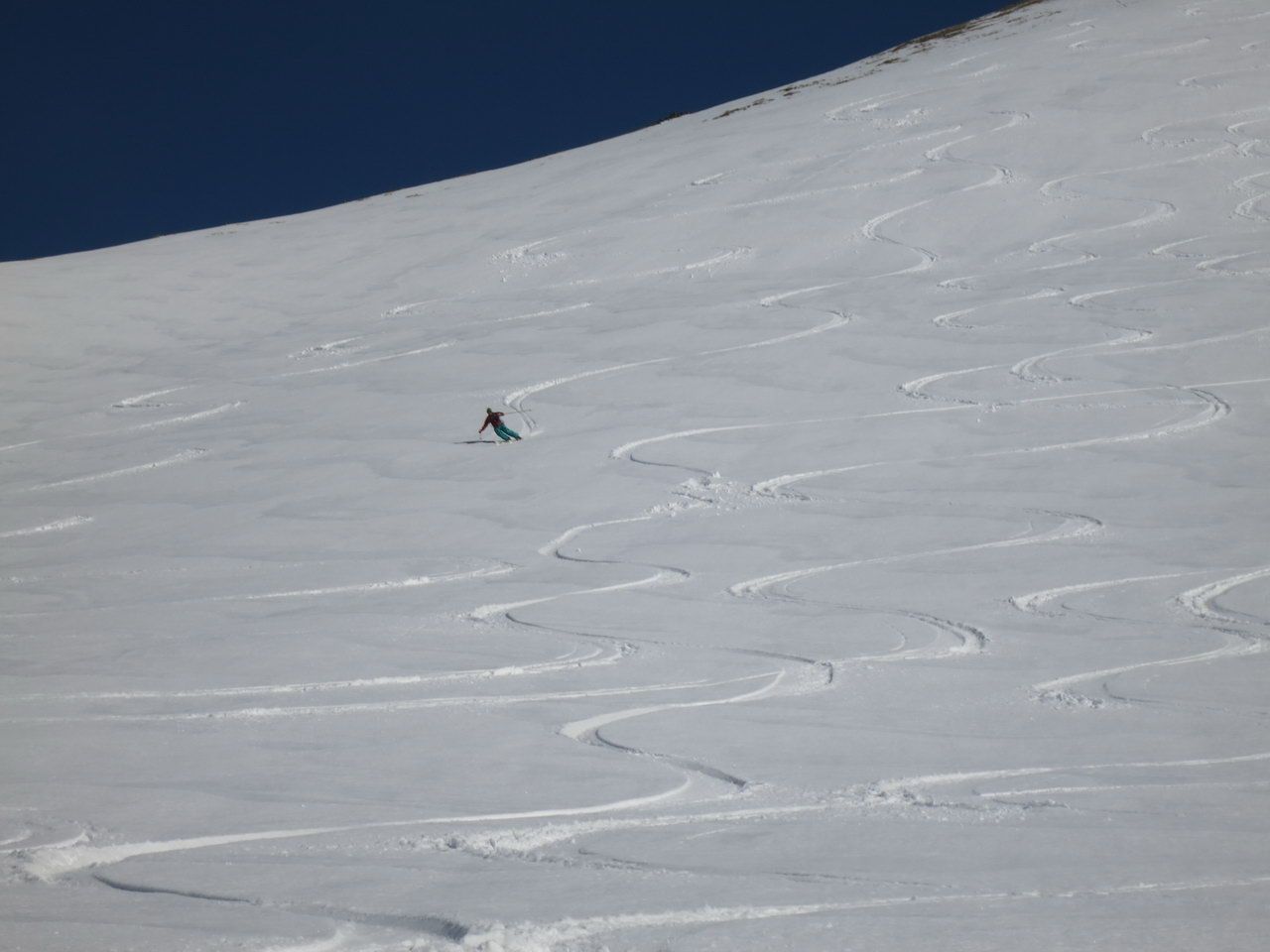 tracks tracks