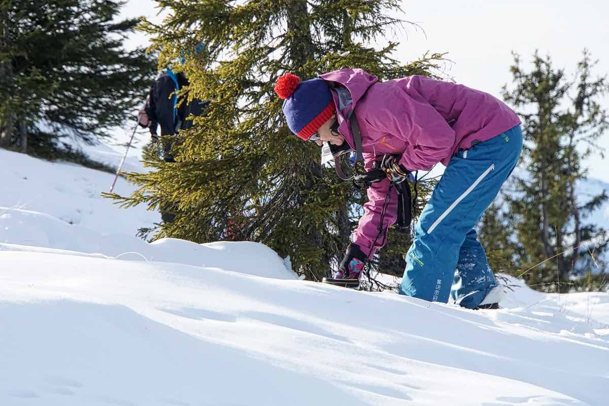Split & Relax 2015 LVS Training Split & Relax 2015 LVS Training