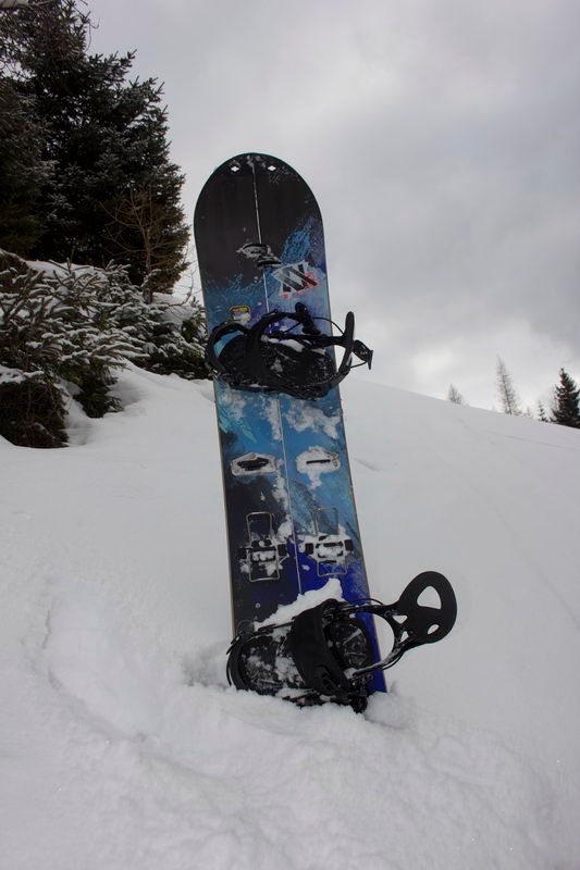 Völkl Cashew Splitboard 2014 Splitboards 2014 Völkl