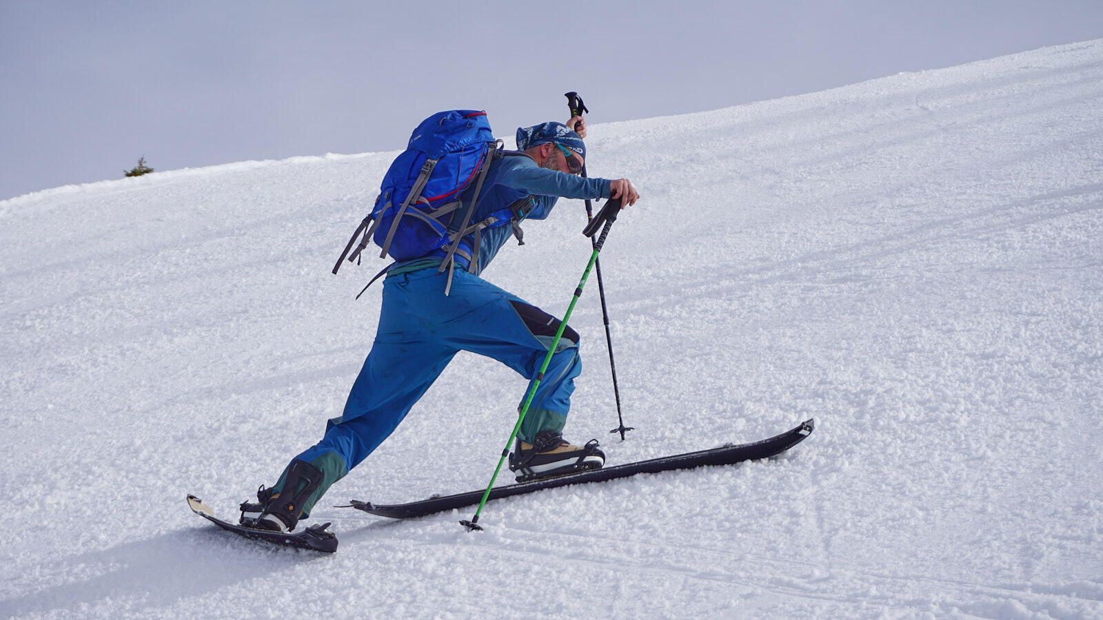 Ascent Arbor Coda Split 21-22