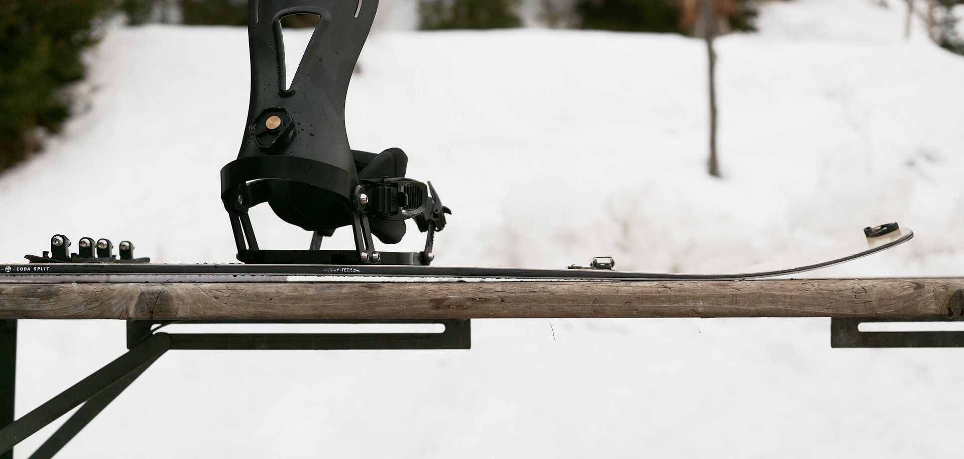 Camber profile, nose Arbor Coda Split 21-22