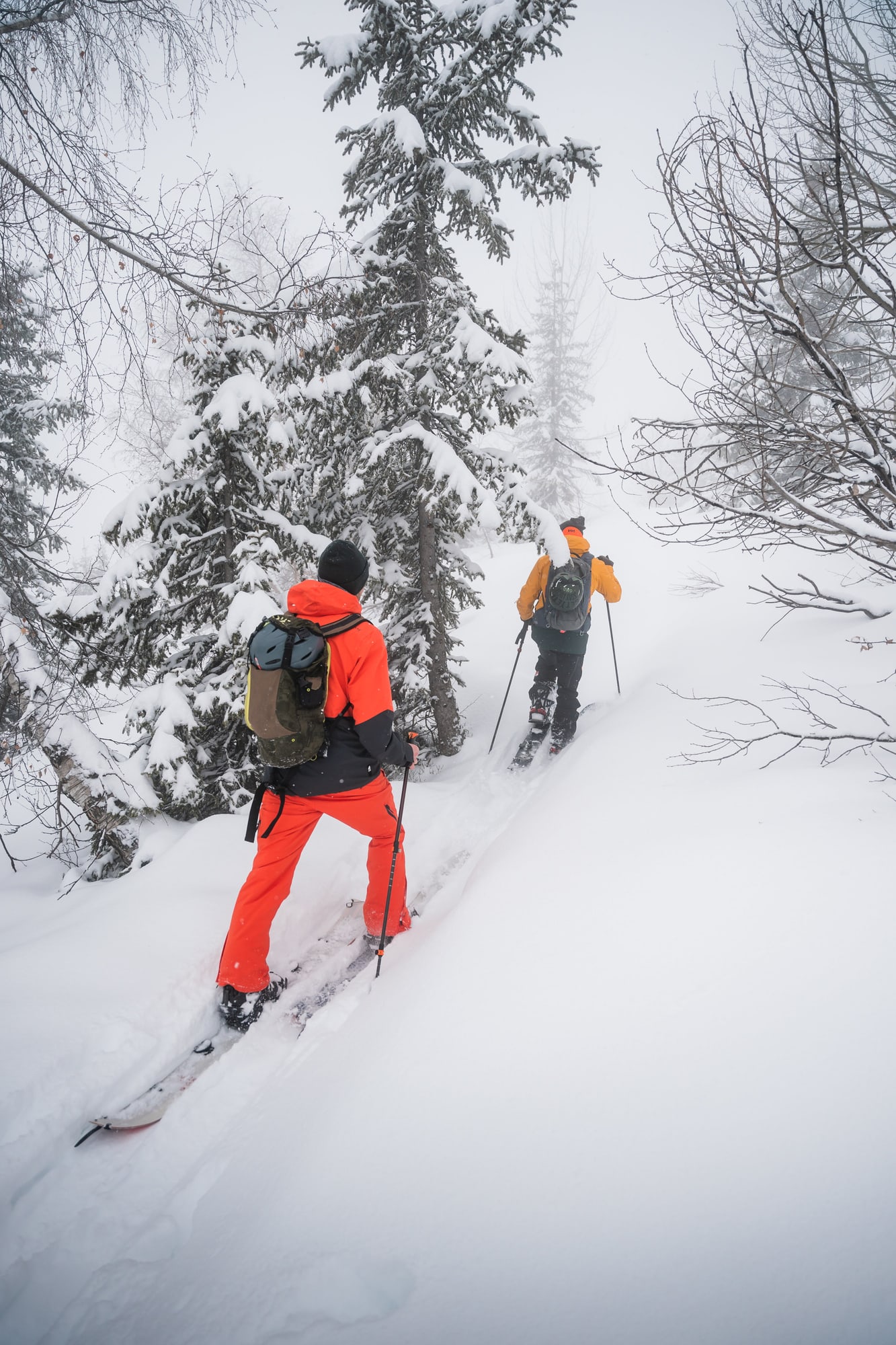 Borealis Ramen Express Splitboard 25-26 – Splitboard Produktbild 6