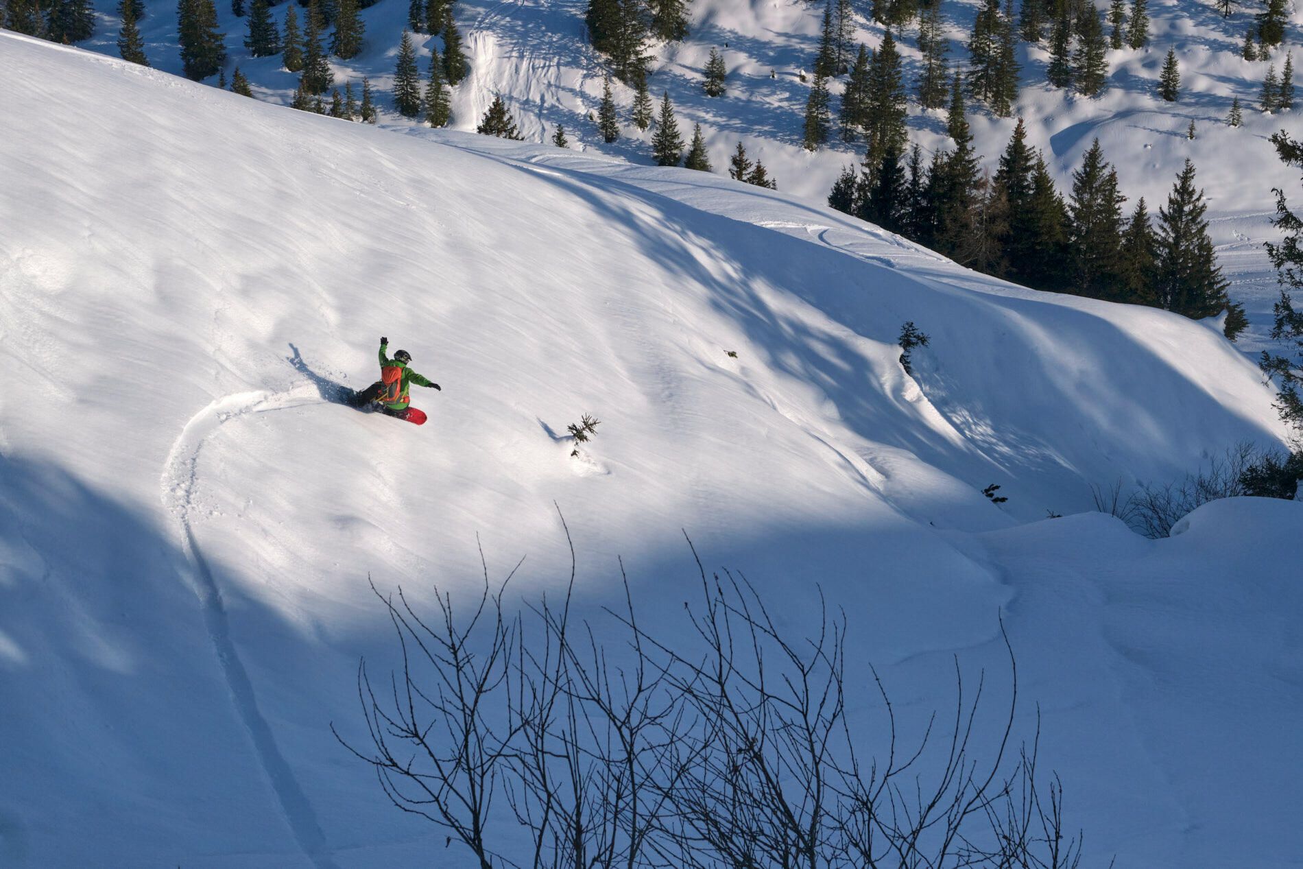 Rossignol Sashimi Split