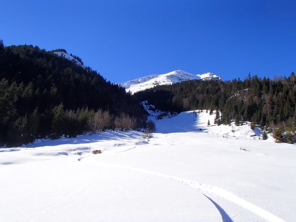 Soiernspitze - Süd-Ost Flanke Soiernspitze - Süd-Ost Flanke