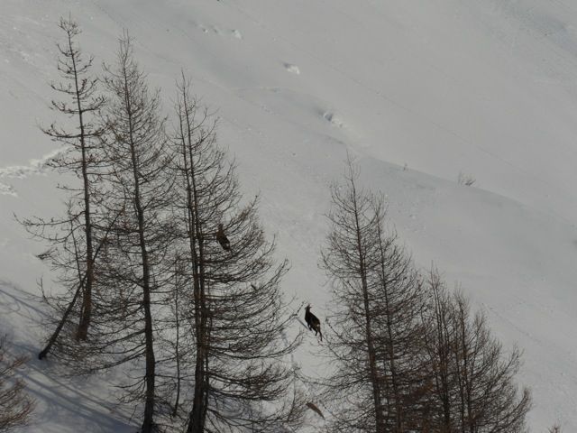 Napfen (Fischers Napf)