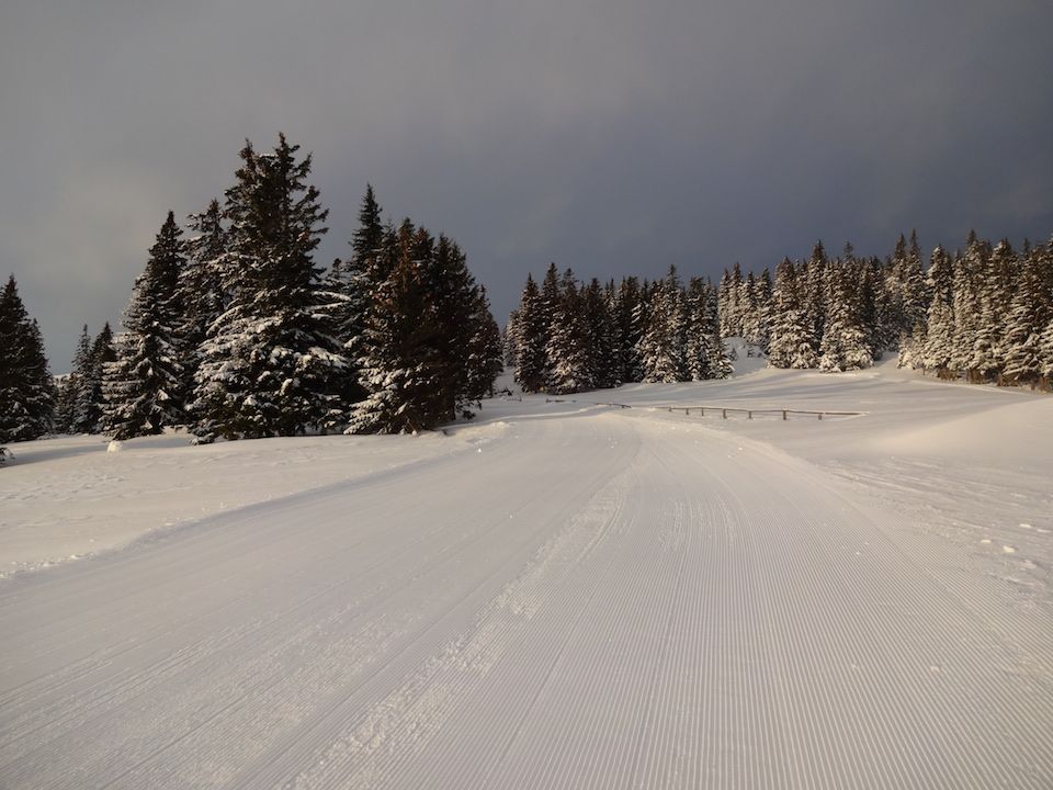 Speikkogel