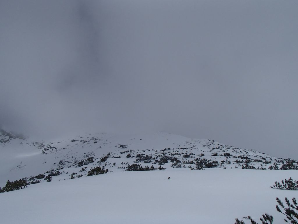 Pleissenspitze