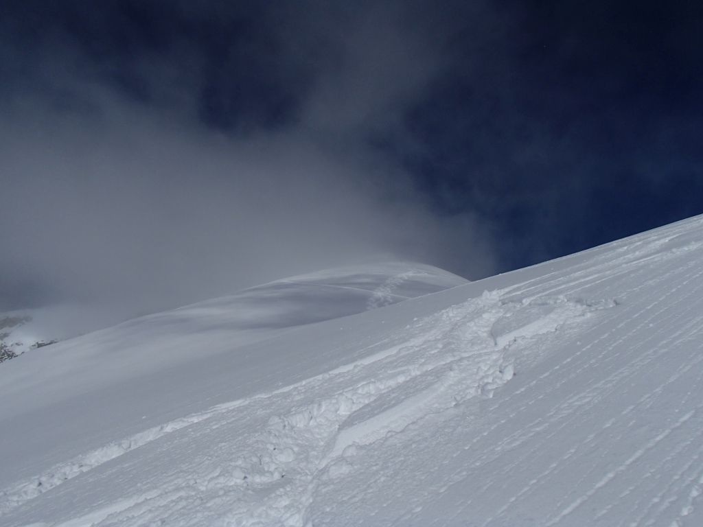 Pleissenspitze