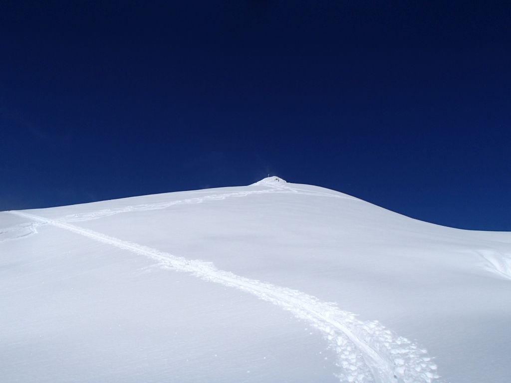 Pleissenspitze