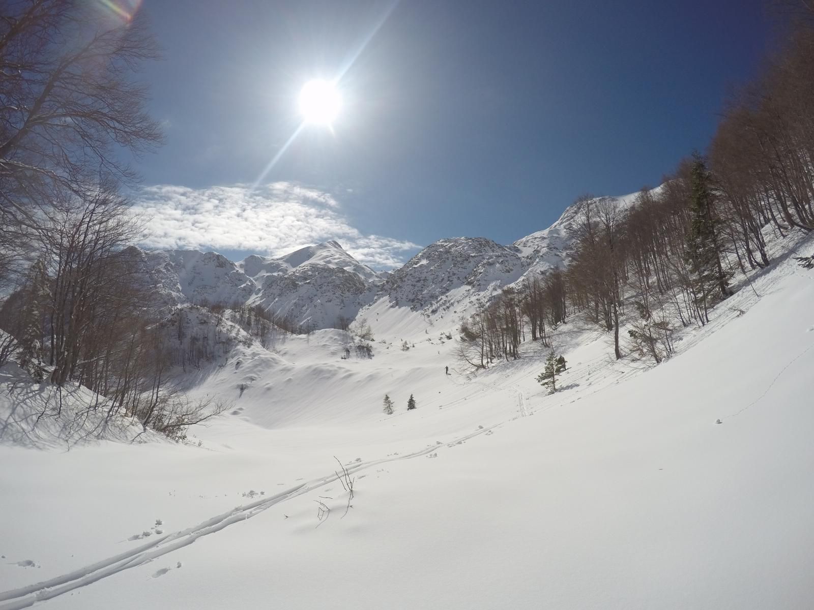 Rodica