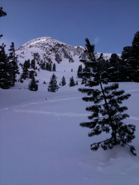 Hochwanner