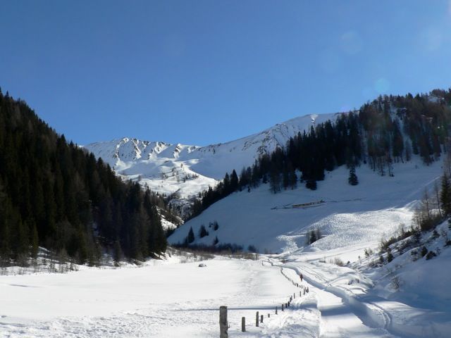 Hohe Warte (Silbersattel)