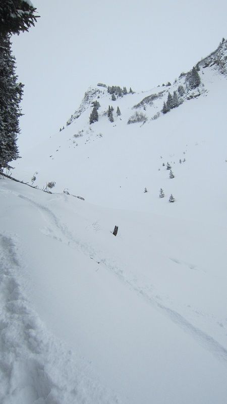 Eselweg to Rappenseehütte